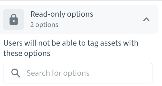 read_only_options.png