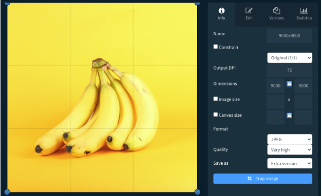 crop_tool_screenshot.png