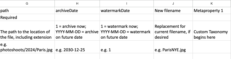 CSVexample.png