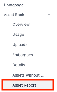 asset report.png