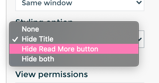 styling_options.png